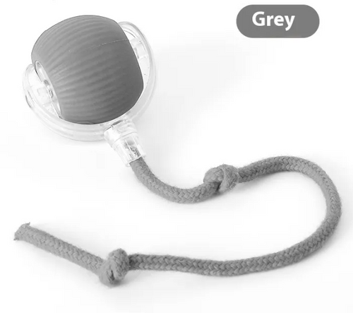 Interactive Cat Toy Ball pawLyfe